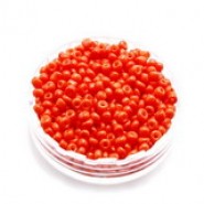 Glass Seed beads